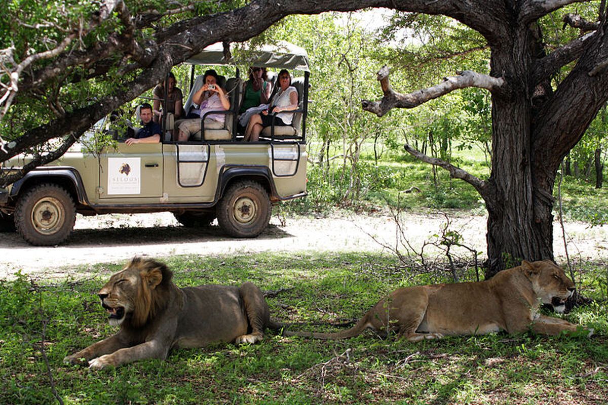 Een gamedrive door safariparken