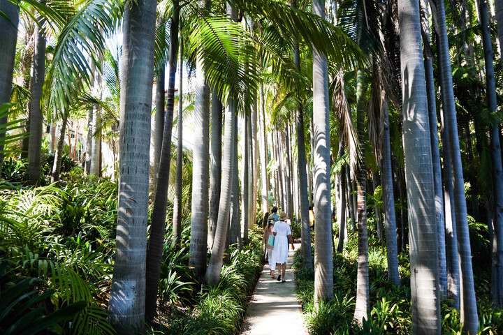 Struinen door de exotische tuin van de Virginia Robinson Gardens