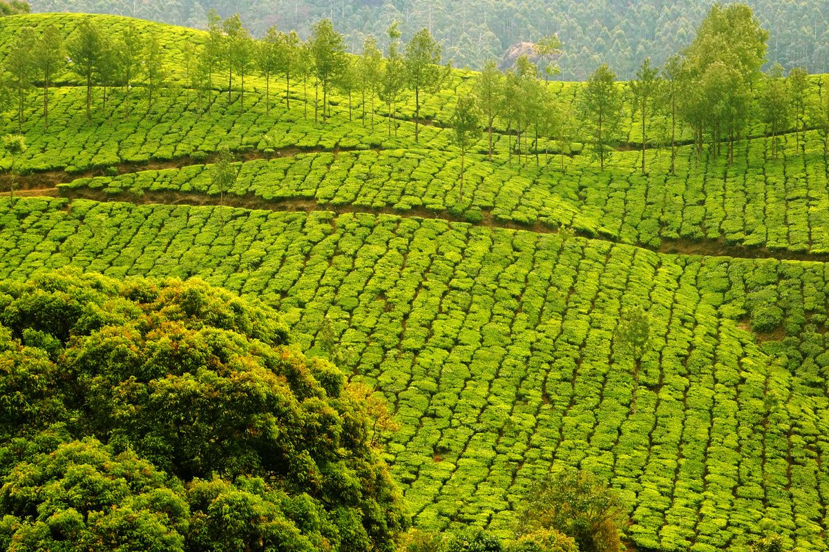 het klimaat van Sri Lanka