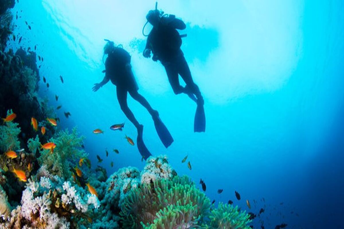 Duiken op de Seychellen