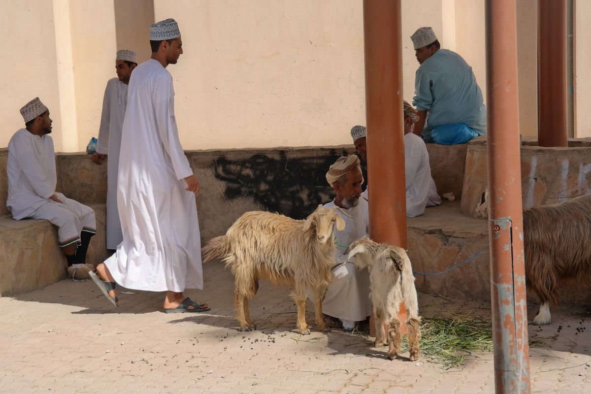 Geitenmarkt Nizwa, Oman