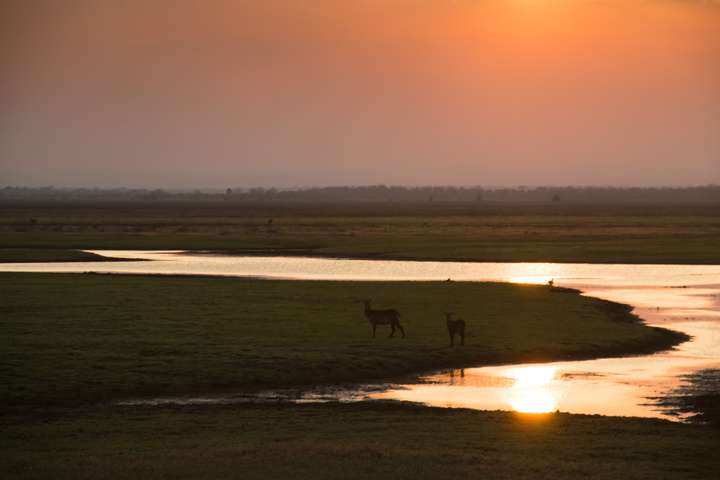 Zonsondergang in het Gorongosa Nationaal Park