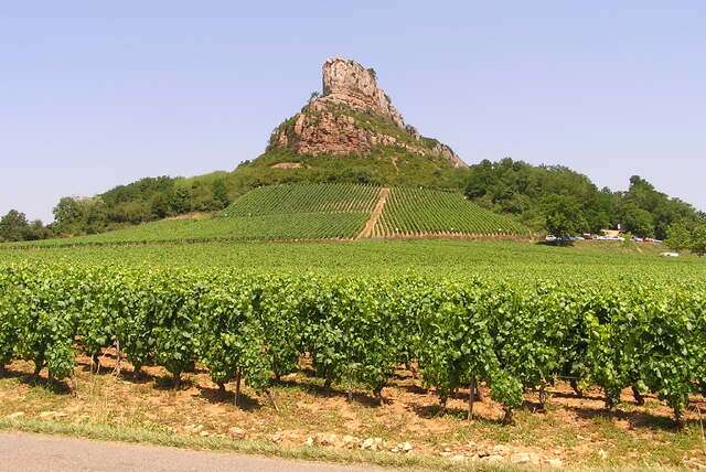 Champagneroute door de Aube