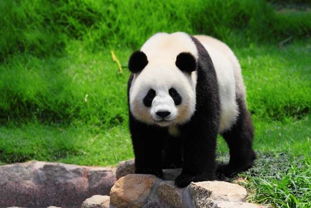 China van A tot Z