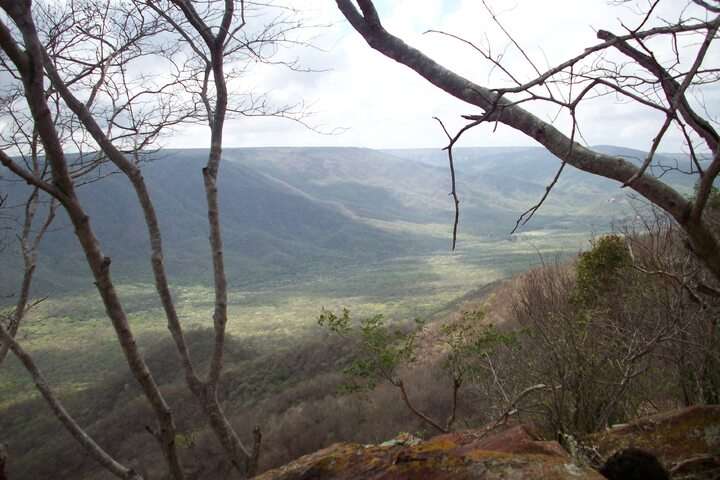 Oerwoud, uitzicht vanaf berg