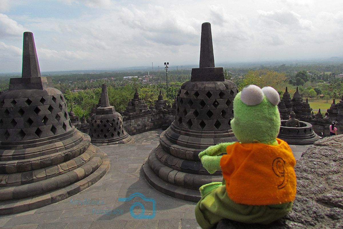 Kermit bij Borobudur
