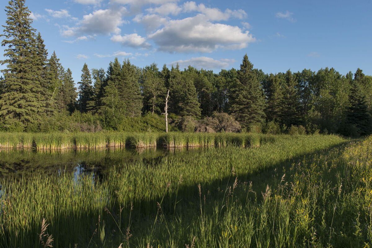 Lake Audy Campground, Riding Mountain NP, Manitoba