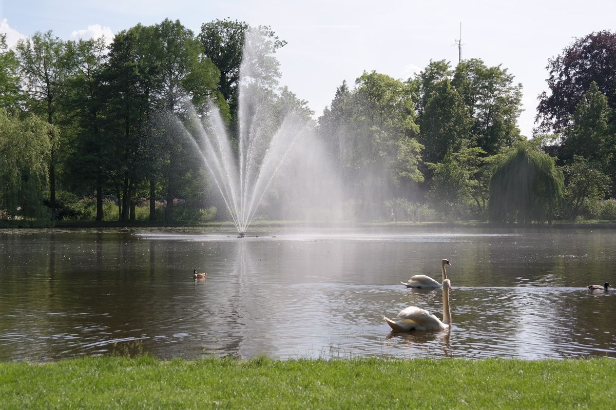 Fontein met zwanen in de Franse tuin