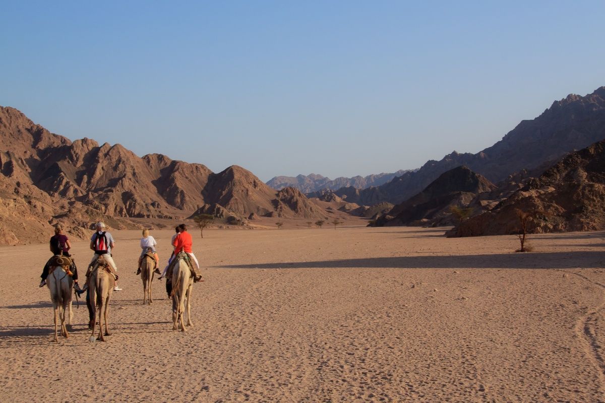 Foto van deze vakantie