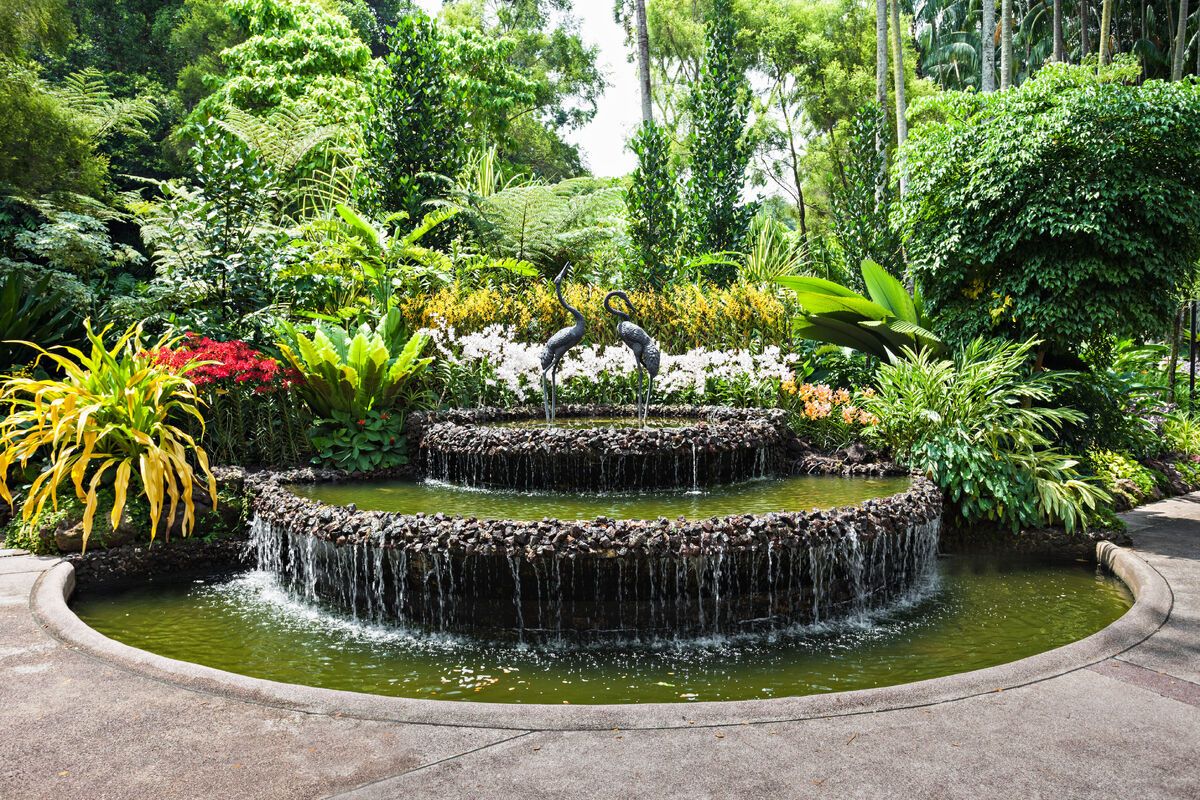 National Orchid Garden in de Botanic Gardens