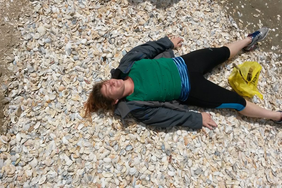 Schelpen op het strand van Whitianga