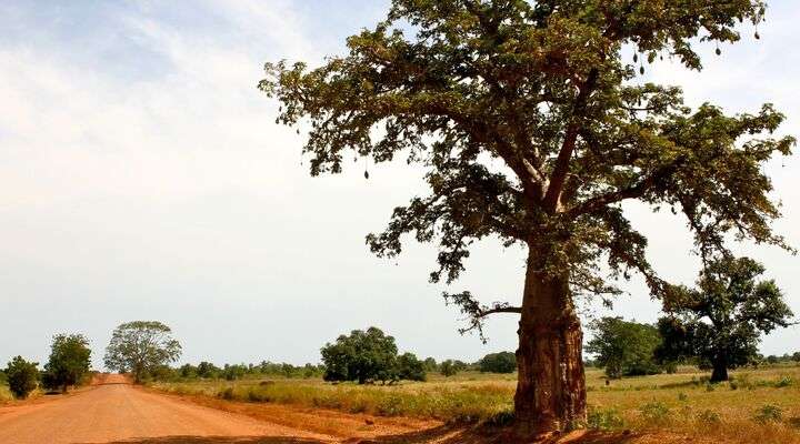 Verlaten weg in Gambia