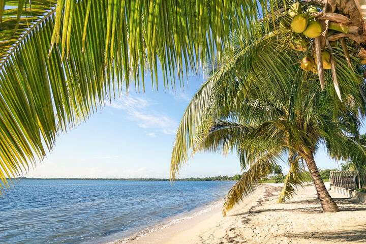 Palmbomen op het strand van Playa Larga met een turquoise blauwe zee