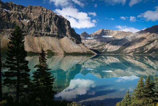 Actief Canada