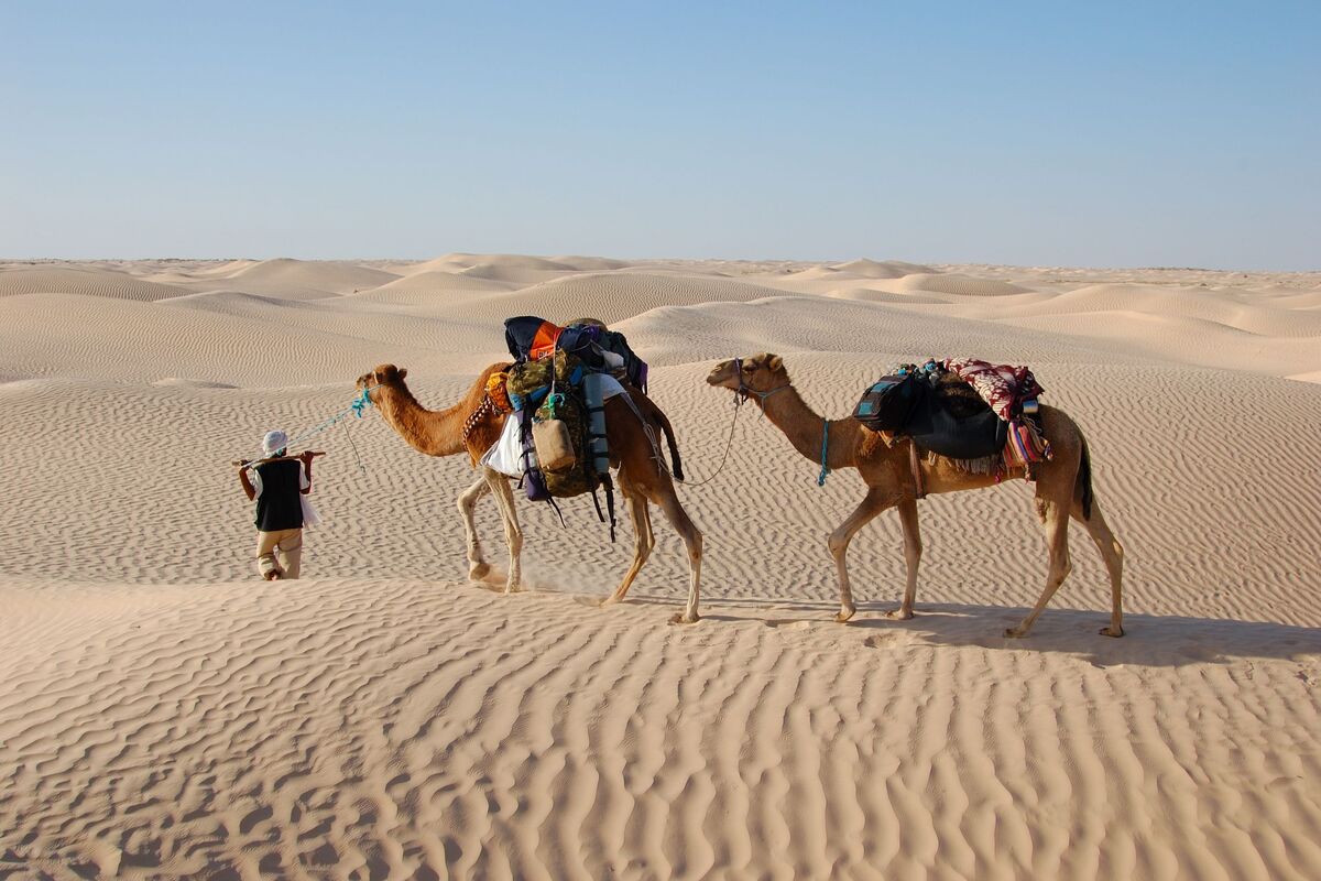 Timboektoe bestaat echt!