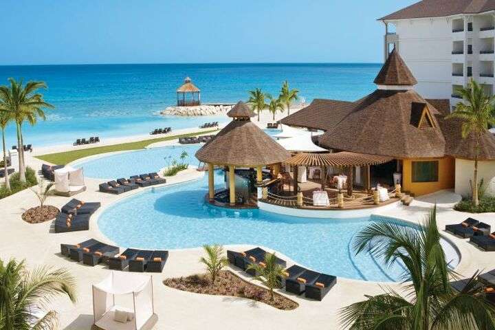 Secret Wild Orchid Montega Bay