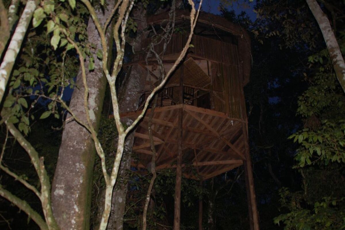 Boomhut Kibale Forest