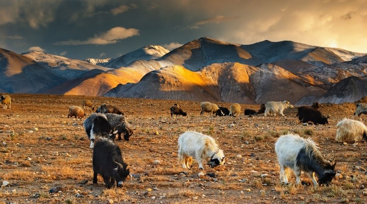 Landschap Tibet