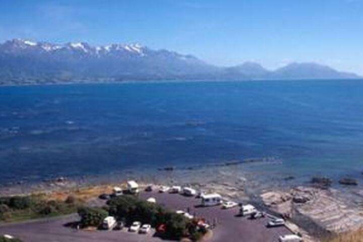 Kaikoura, Robbenkolonie