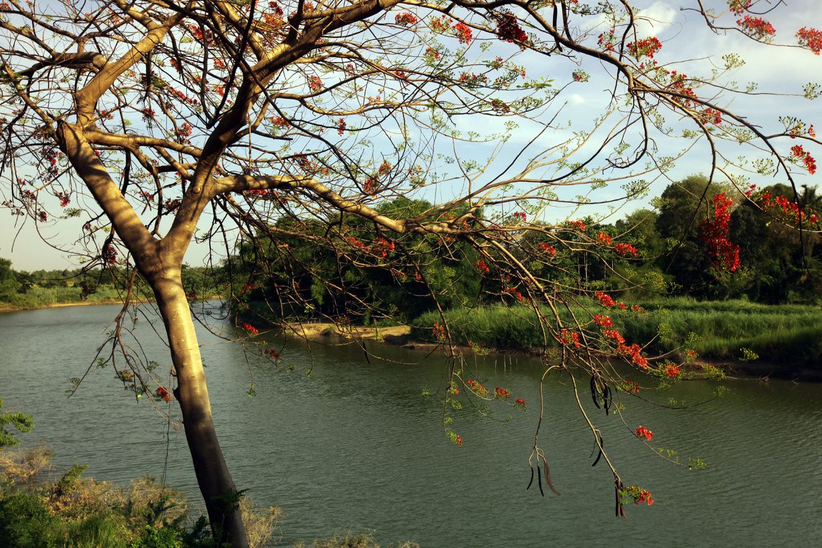 Rivierlandschap van de Yom