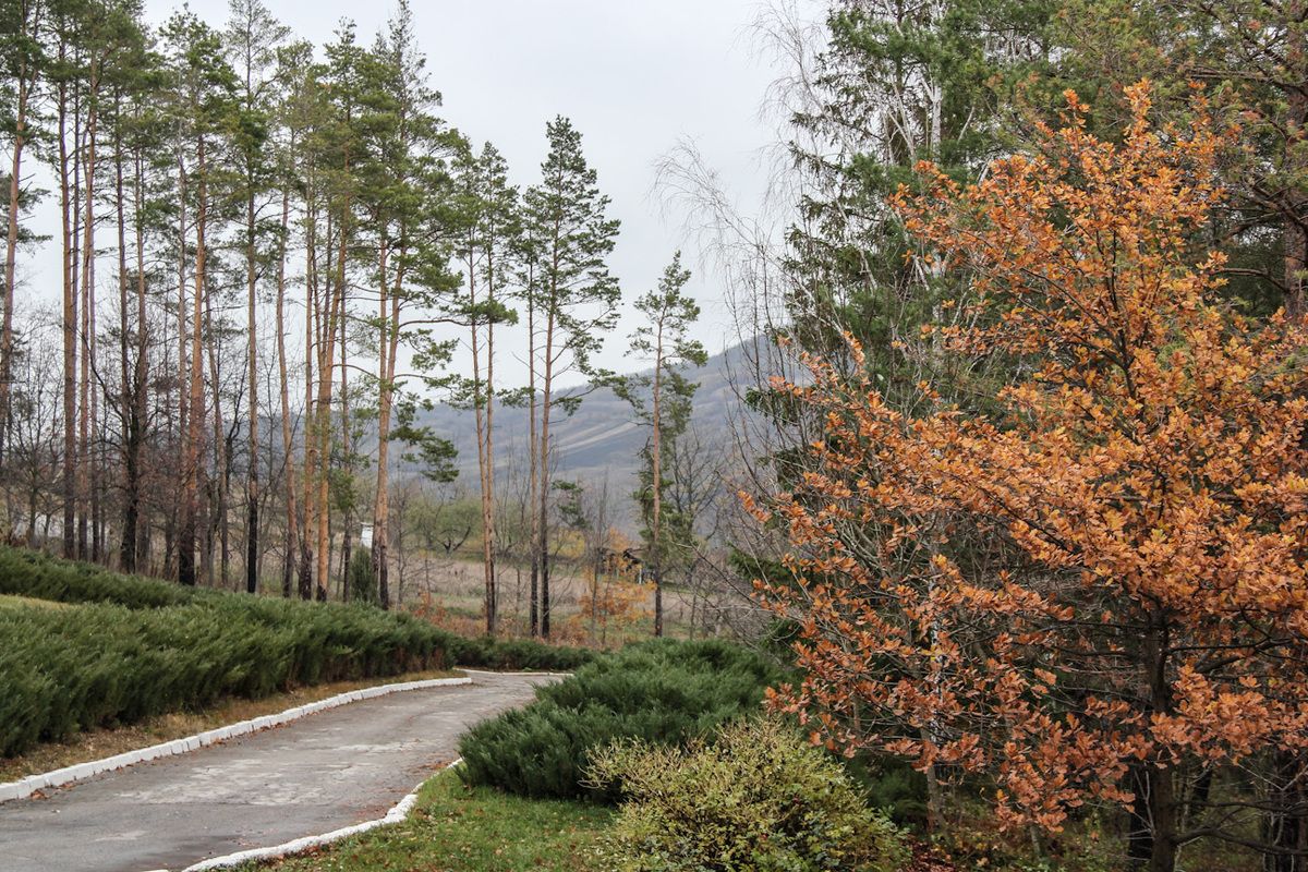 Weg door het Codru reservaat