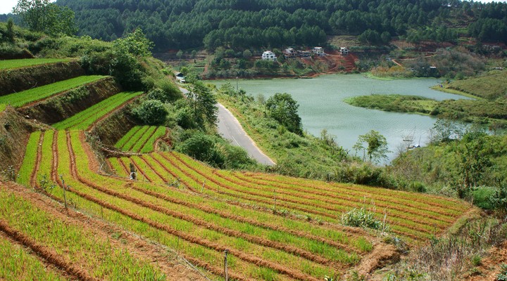 Landschap Dalat, Vietnam