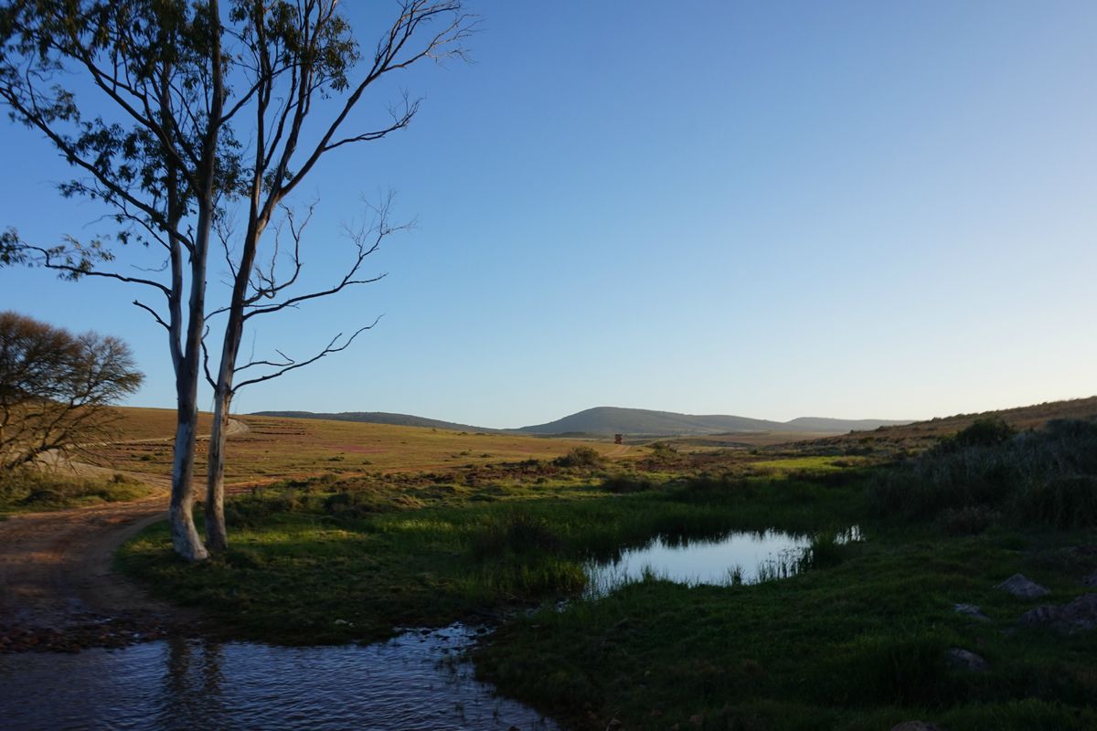 Foto van deze vakantie
