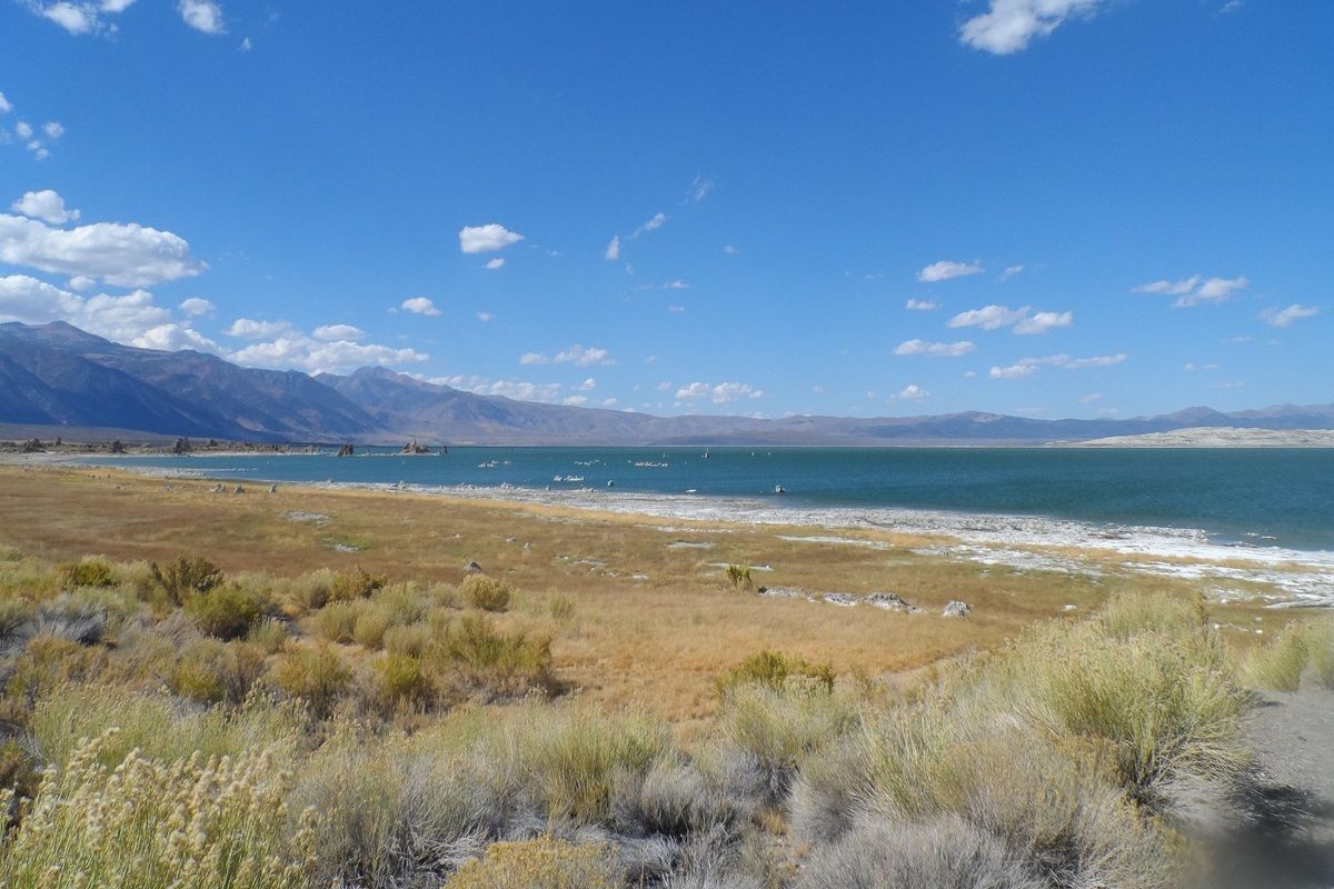 Mono lake