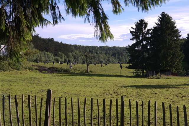 Een weekend in de Belgische Ardennen