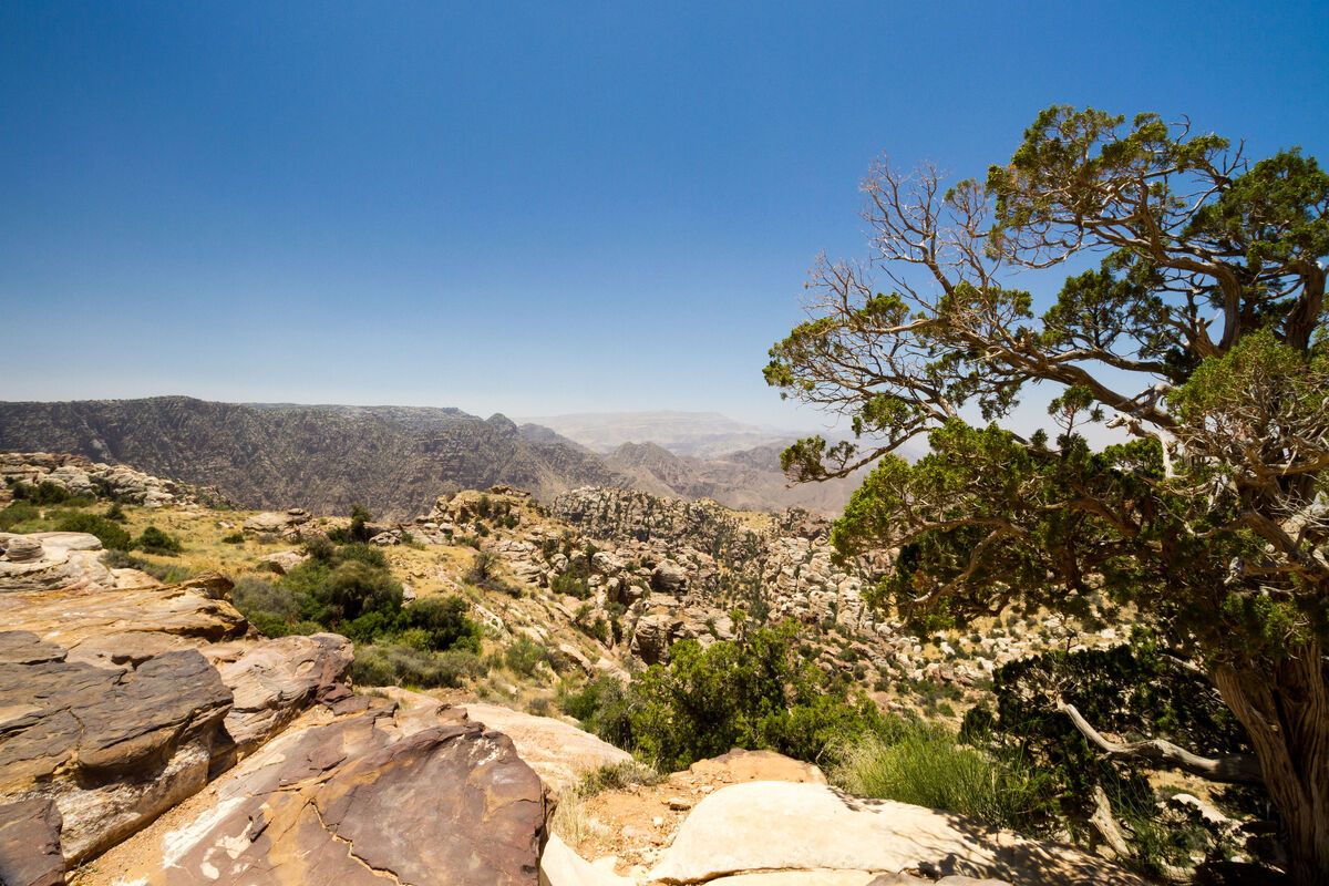 Het Dana Natuurreservaat