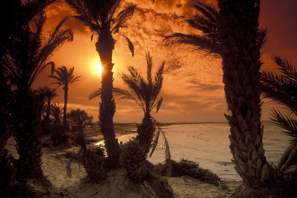 Ondergaande zon op het strand van Tunesi�