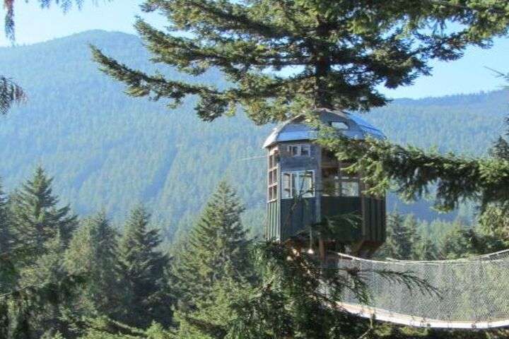 Cedar Creek Treehouse
