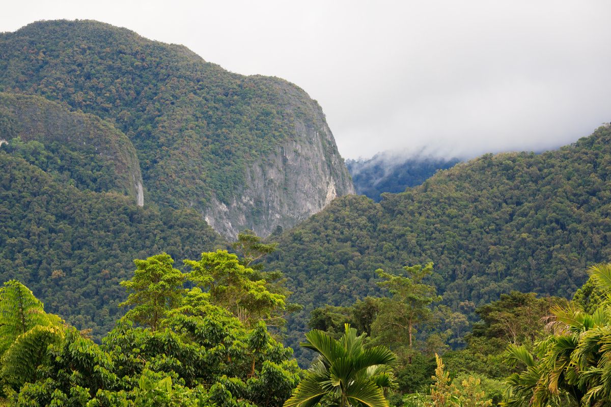 Nationaal park Gunung Mulu