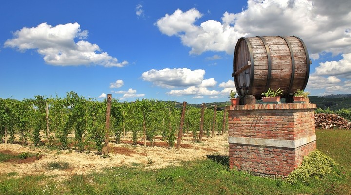 Wijngaard Piemonte, Itali