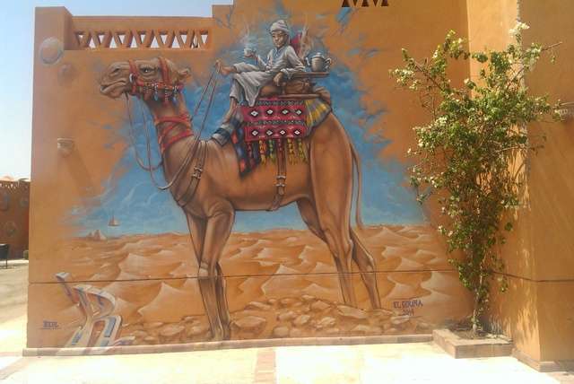 Met dolfijnen zwemmen en op jeepsafari in Egypte