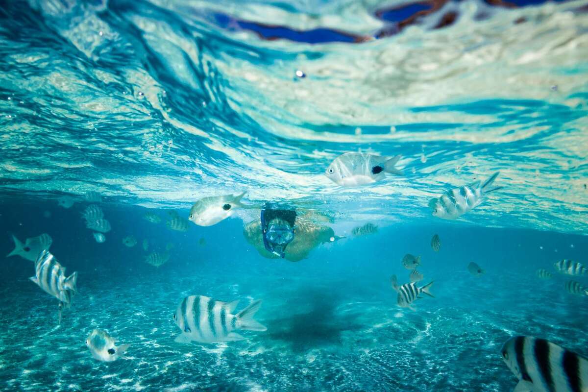 Snorkelen op de Malediven