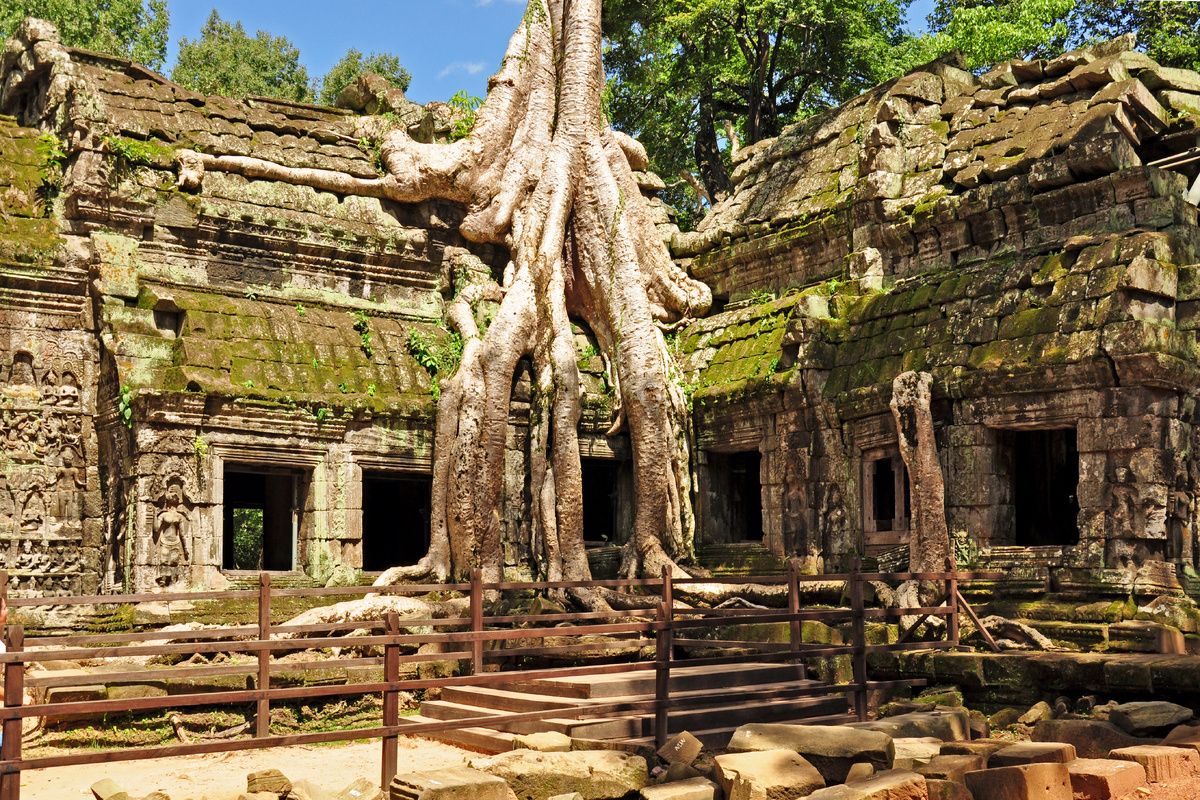 Ta Prohm, Angkor Wat