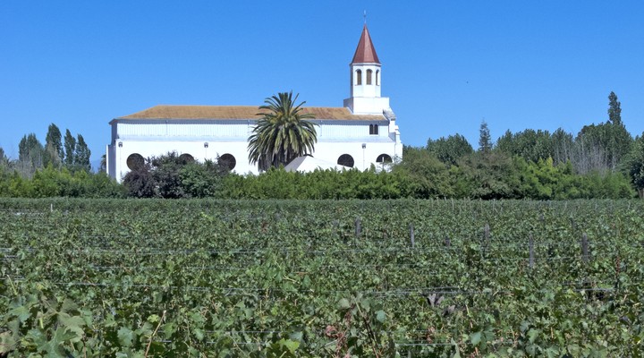 Wijnveld en gebouw Chili