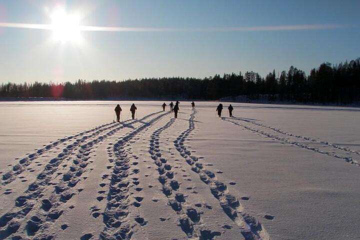Sneeuwwandeling door het Finse Lapland