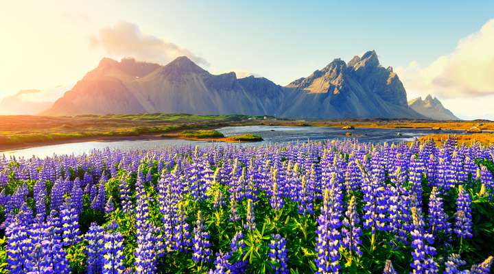 De berg Vestrahorn bij Stokksnes