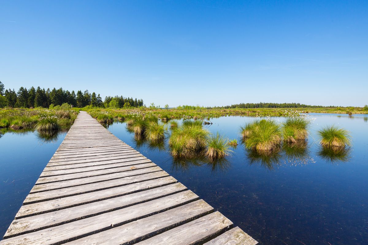 Bruggetje over meertje