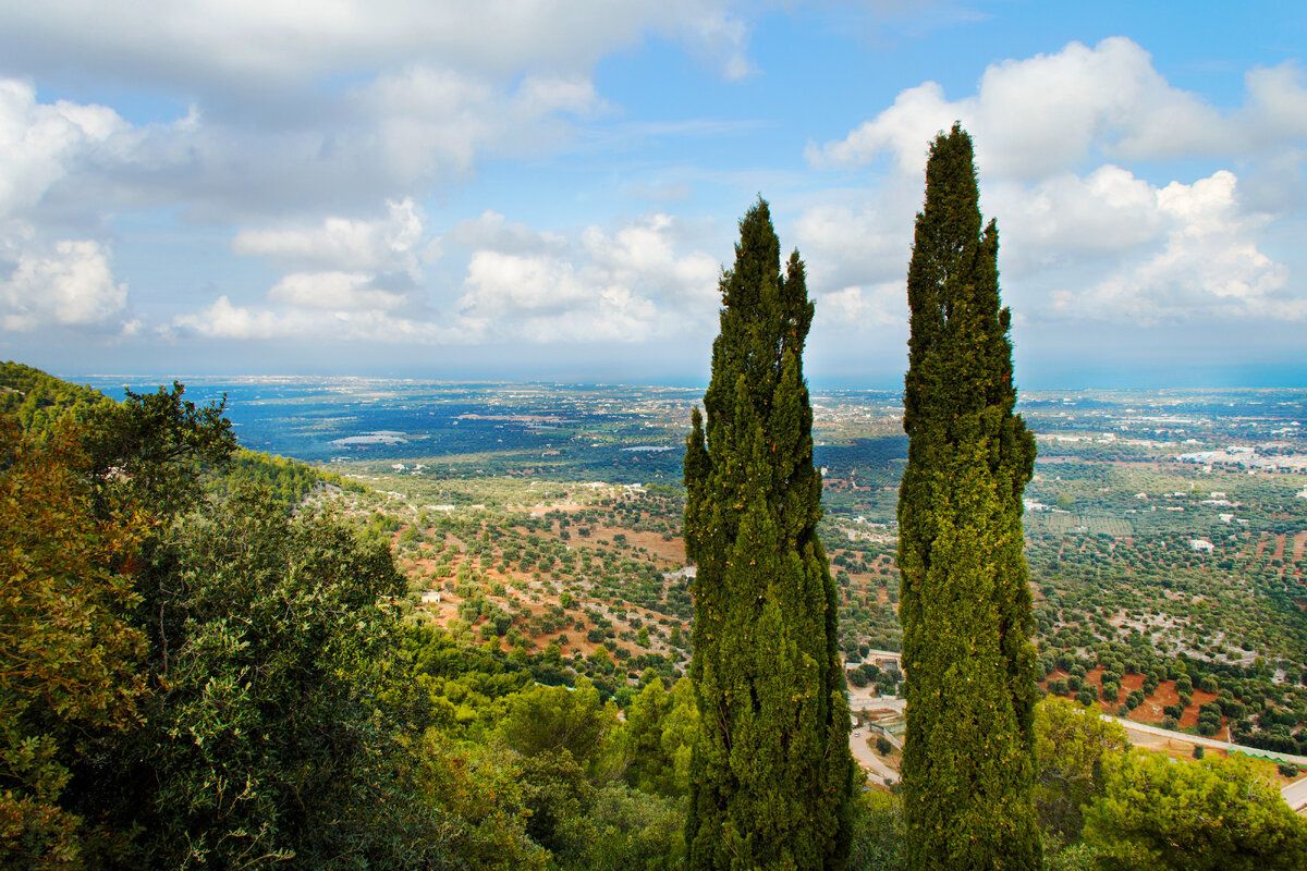 Het mooie landschap tussen Martina Franca, Locorotondo en Alberobello