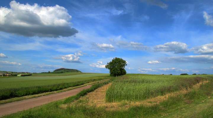 Landschap Bourgogne Frankrijk