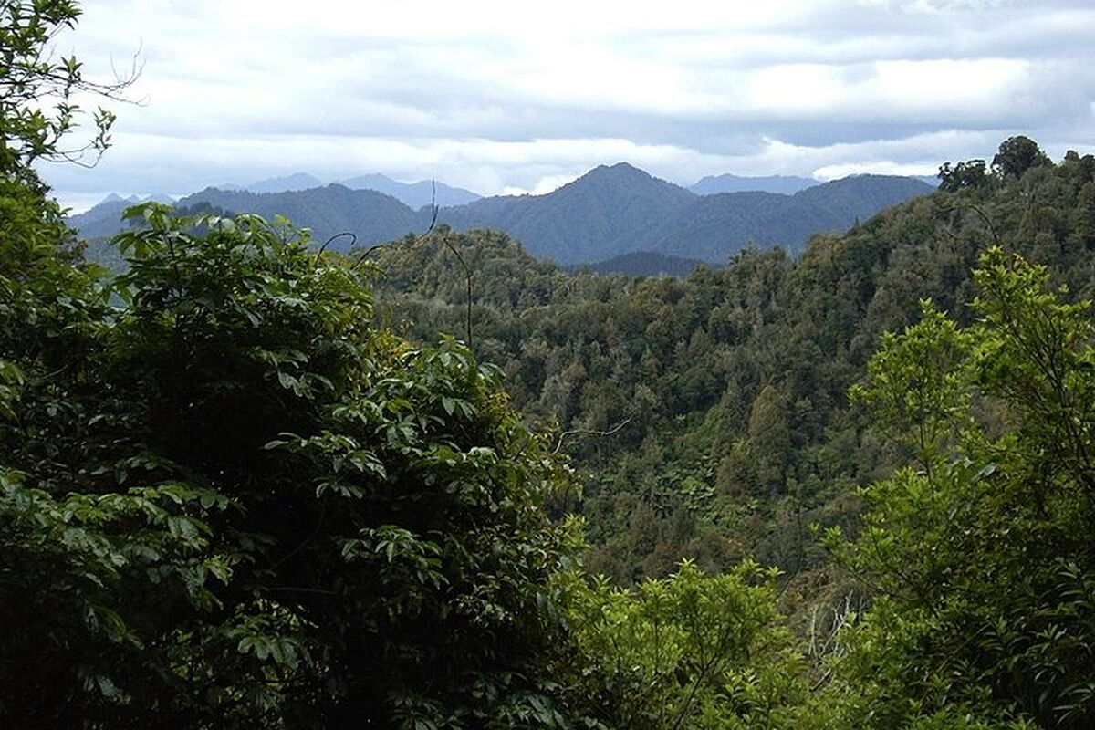 Te Urewera National Park