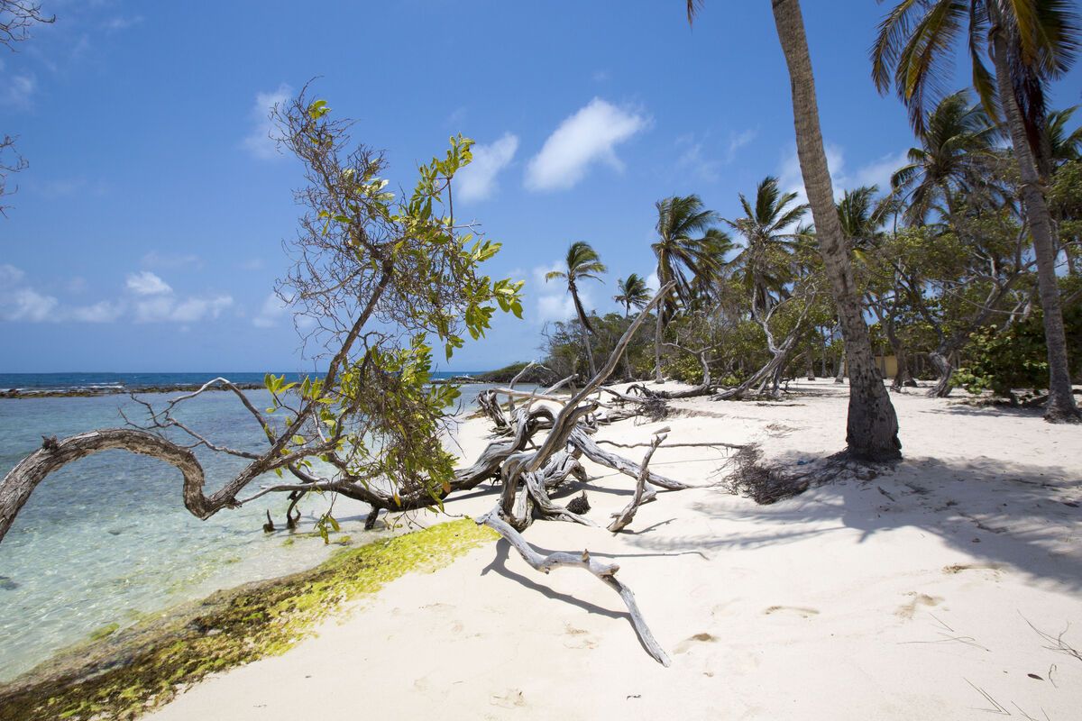 Morrocay National Park