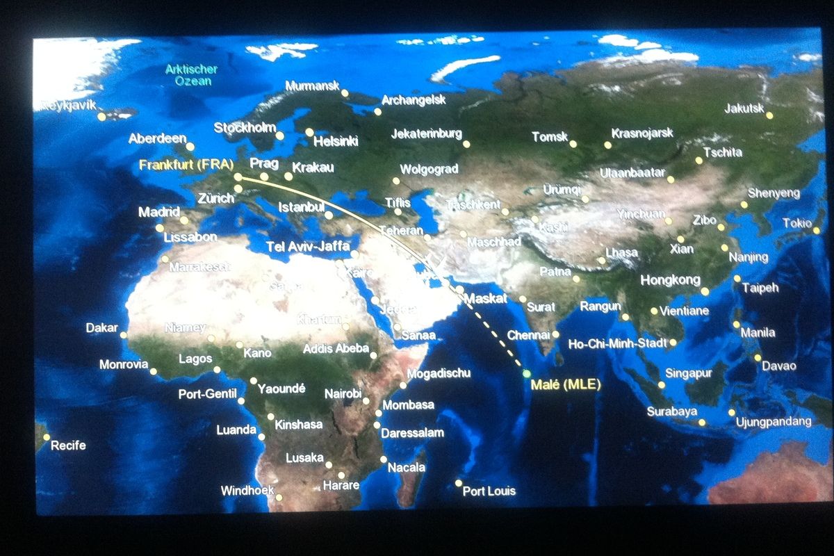 Schermpje in het vliegtuig