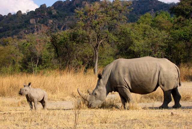 Rondreizen in Zimbabwe