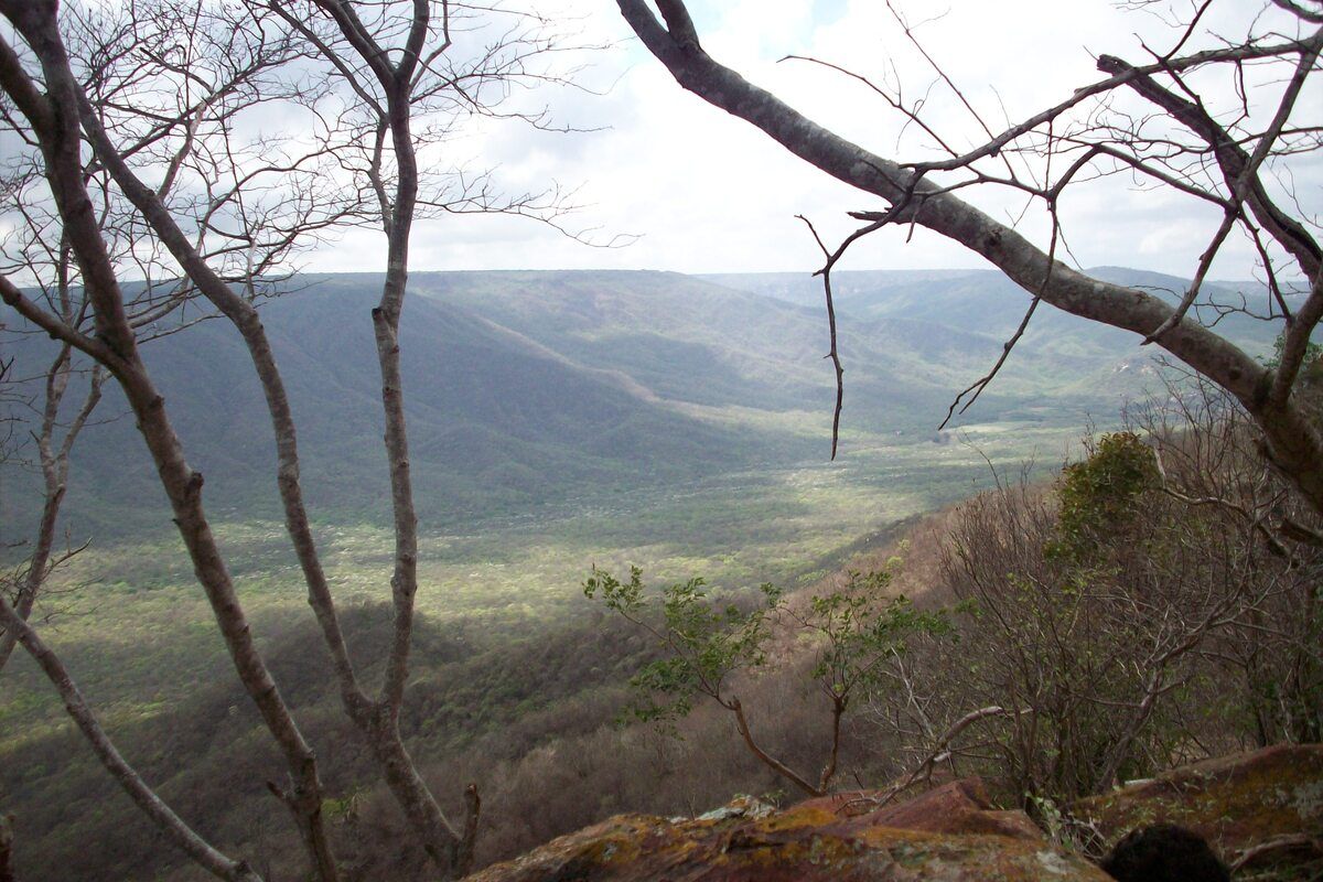 Oerwoud, uitzicht vanaf berg