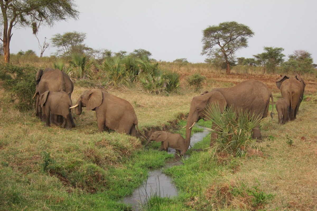Nationale parken in Benin