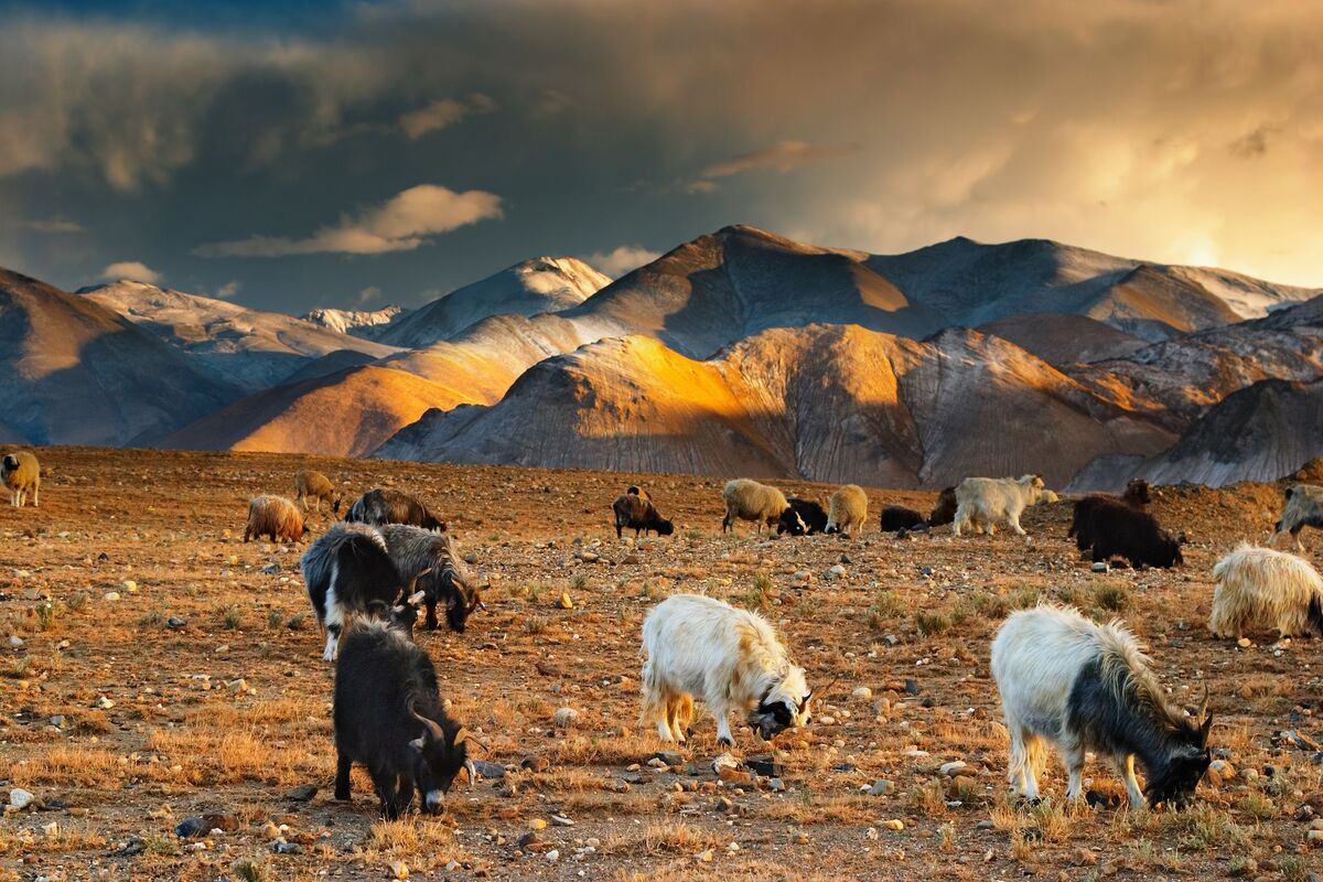 Landschap Tibet